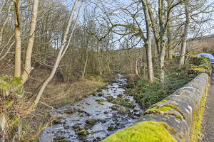 Photo 38- click for photo gallery